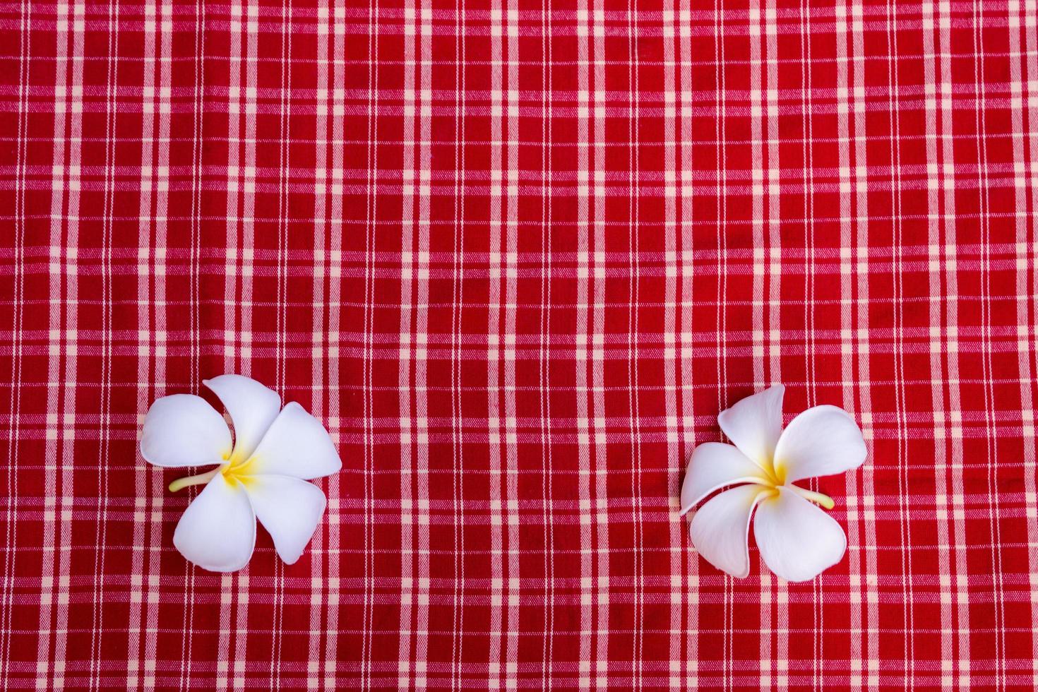 fiori di plumeria bianchi gialli su uno sfondo di stoffa scozzese rossa. copia spazio. foto