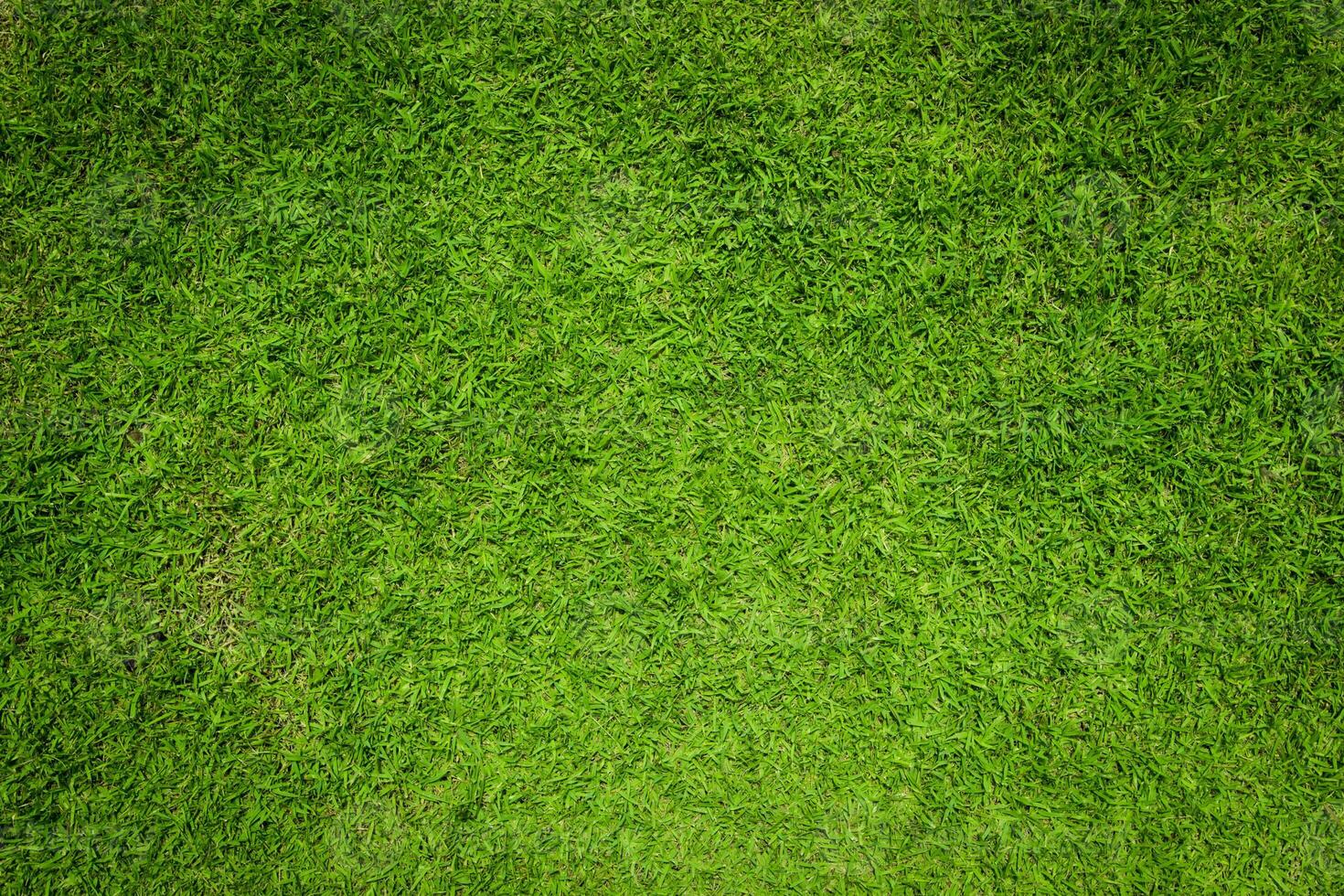 leggero verde erba naturale sfondo e struttura per copia spazio foto