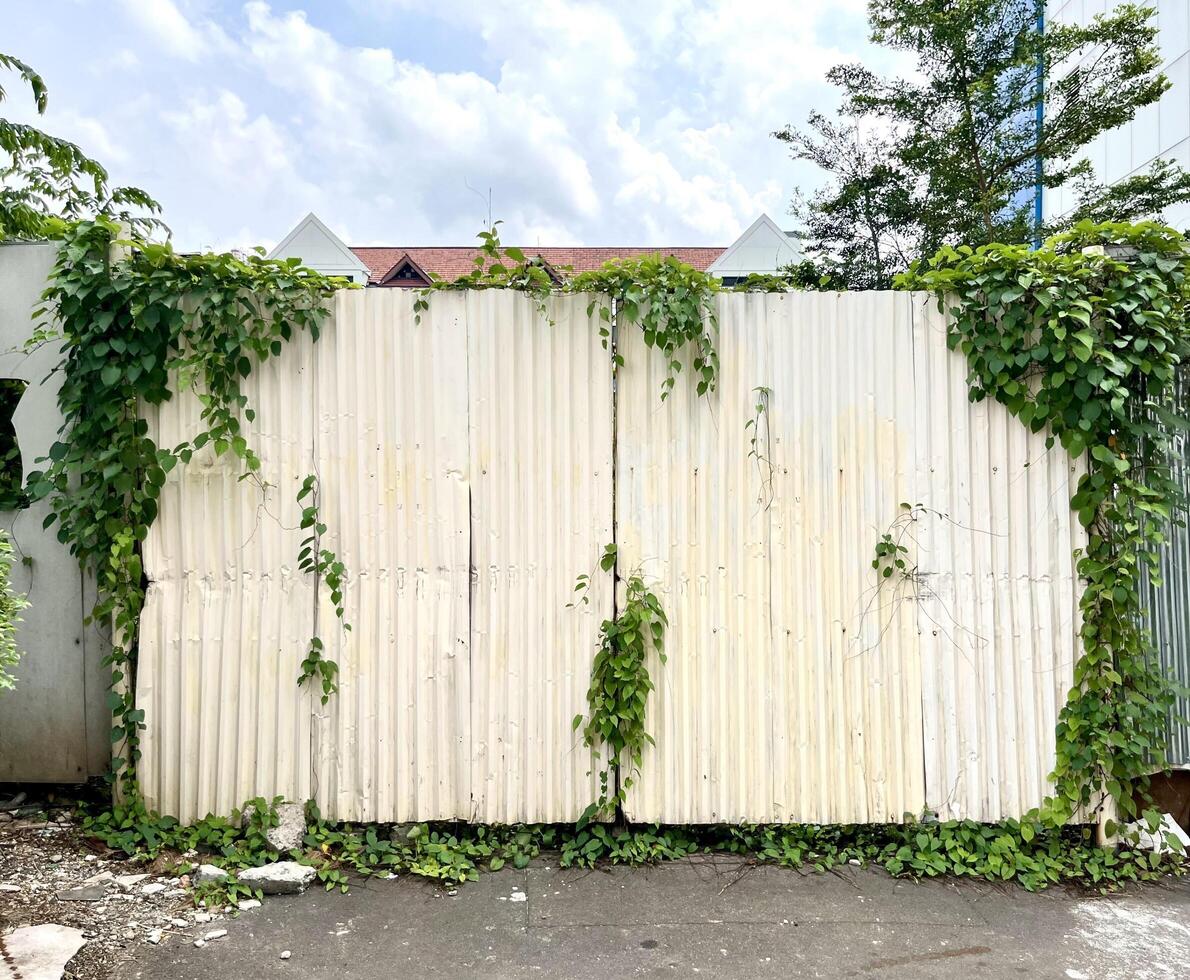 ruvido danneggiato grungy metallo ferro recinto parete con selvaggio botanico verde le foglie in giro esso isolato su orizzontale rapporto blu cielo e sporco terra pietra background. foto