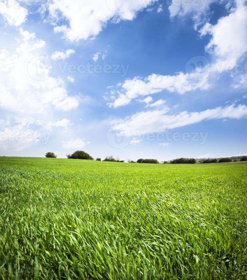 foto del paesaggio primaverile