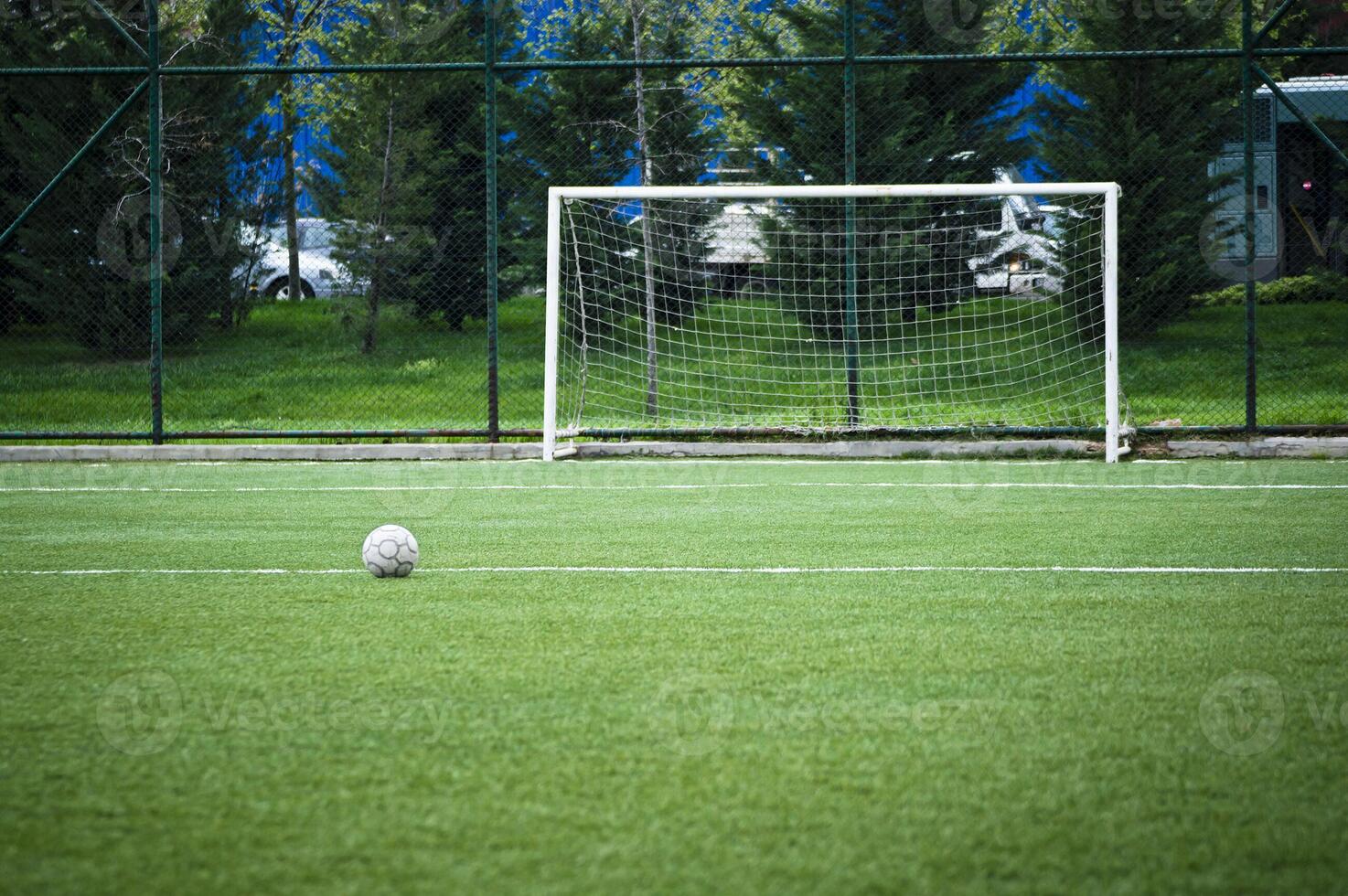 calcio palla a erba foto