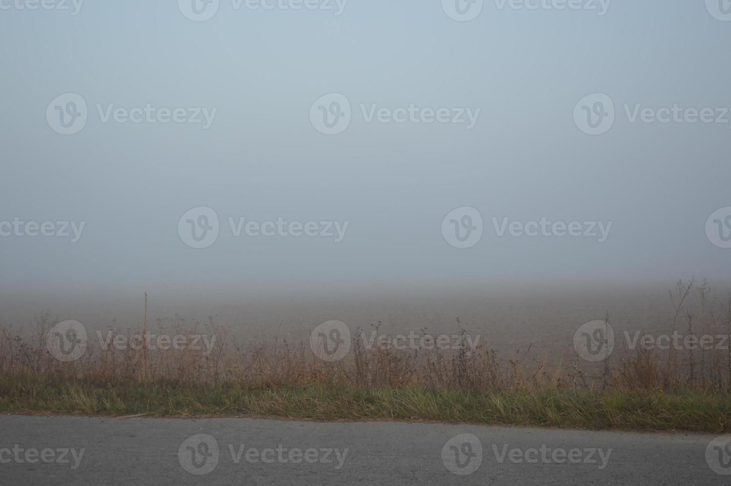 nebbia mattutina e foschia nella foresta e nel villaggio foto