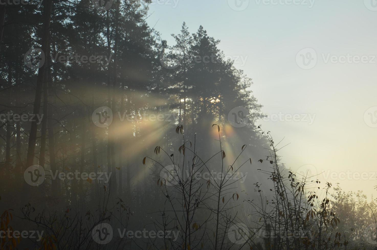 il sole del mattino sorge all'orizzonte nella foresta e nel villaggio foto