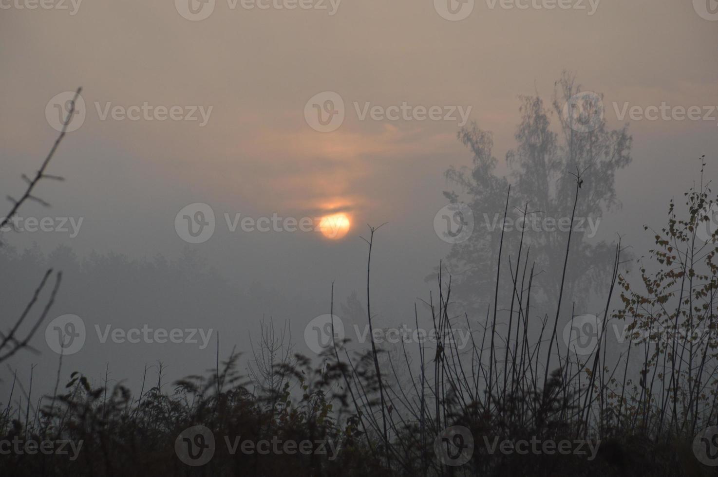 il sole del mattino sorge all'orizzonte nella foresta e nel villaggio foto