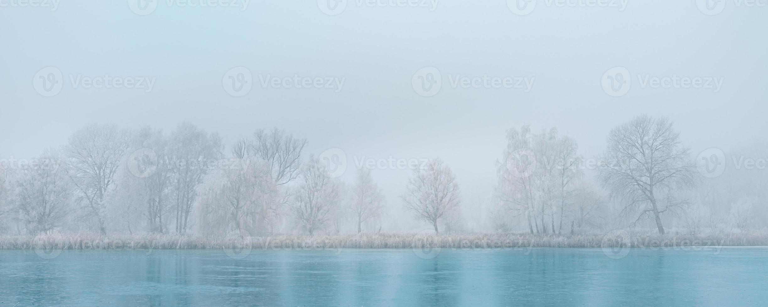 nebbia mattutina panoramica sul lago ghiacciato. paesaggio della natura invernale. nebbiosa luce del sole mattutina nebbiosa, scena naturale serena, gelo, fredda giornata invernale foto