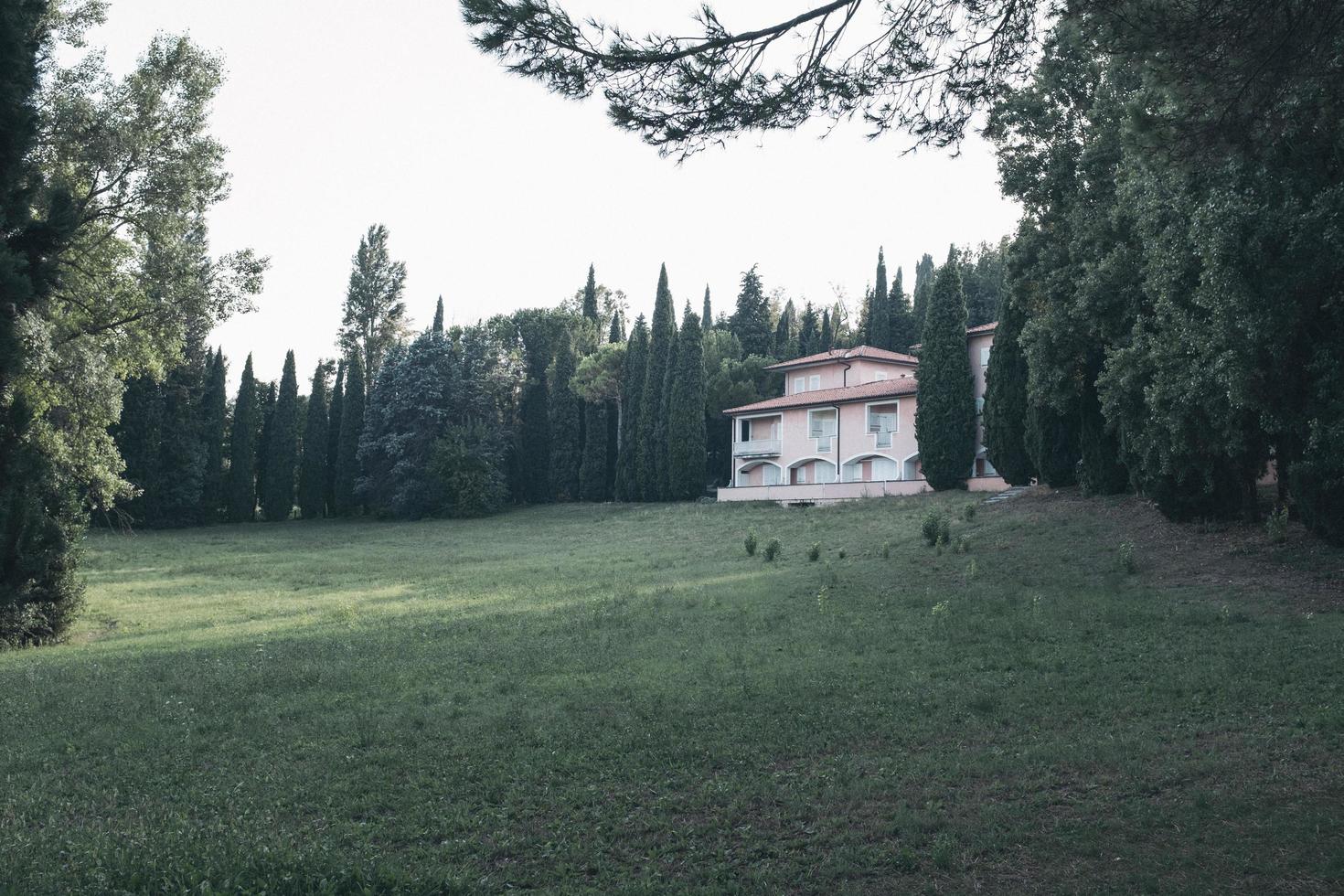 casa nel bosco foto