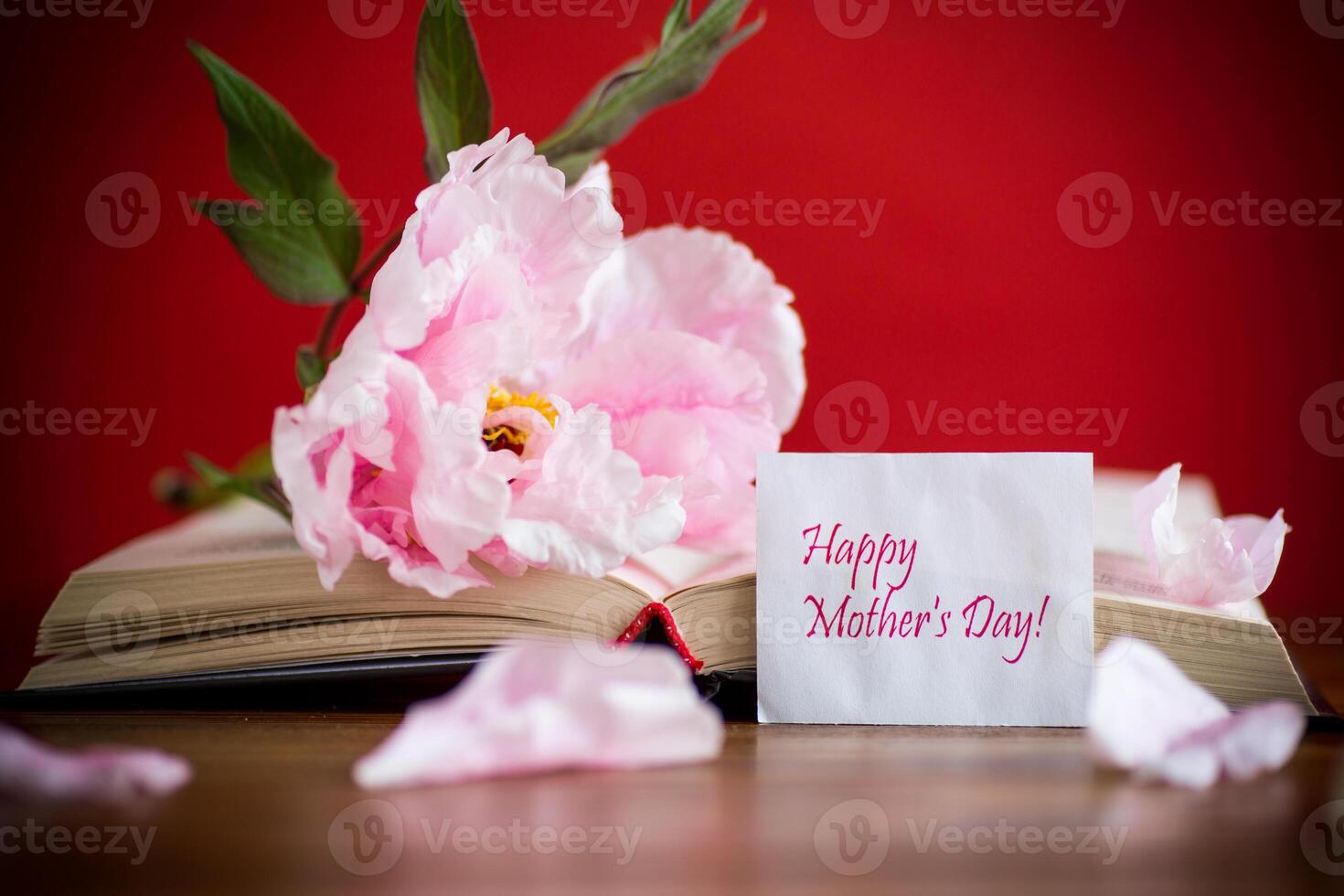 peonia rosa bellissimo fiore, libro con un' saluto carta foto