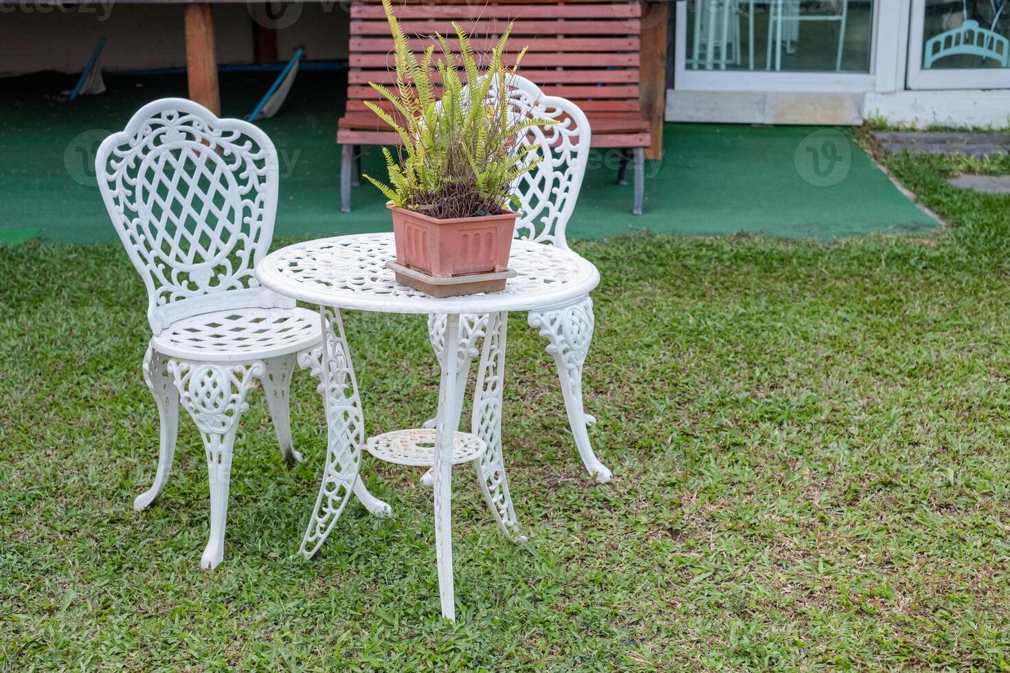 bianca Vintage ▾ tavolo e sedie con felce pianta nel vaso su prato foto