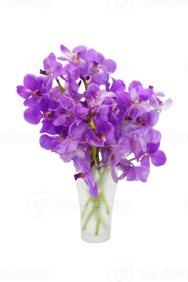 fiore di orchidea viola. foto