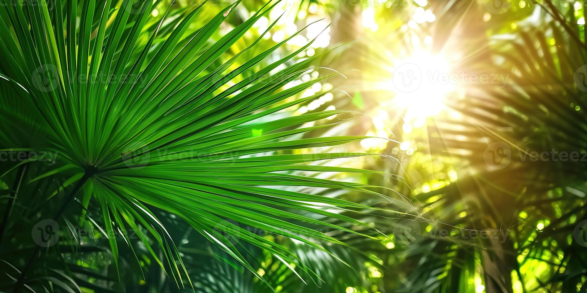 ai generato brillante luce del sole nel un idilliaco verde palma giardino, tropicale vegetazione sfondo bandiera con copia spazio per viaggiare, vacanze e vacanza foto