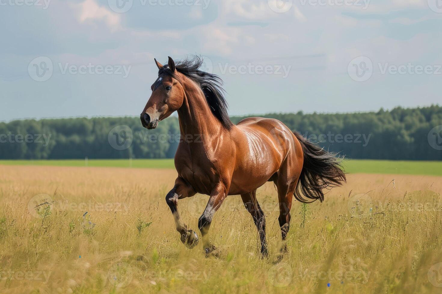 ai generato evidenziare il movimento e bellezza di un' al galoppo cavallo in esecuzione liberamente foto