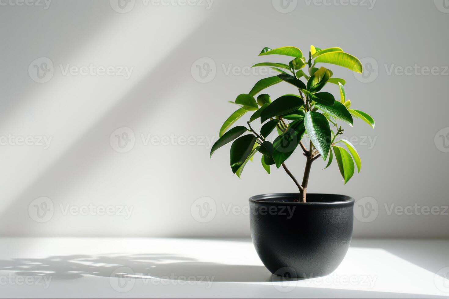 ai generato un' piccolo in vaso pianta seduta su un' bianca superficie foto