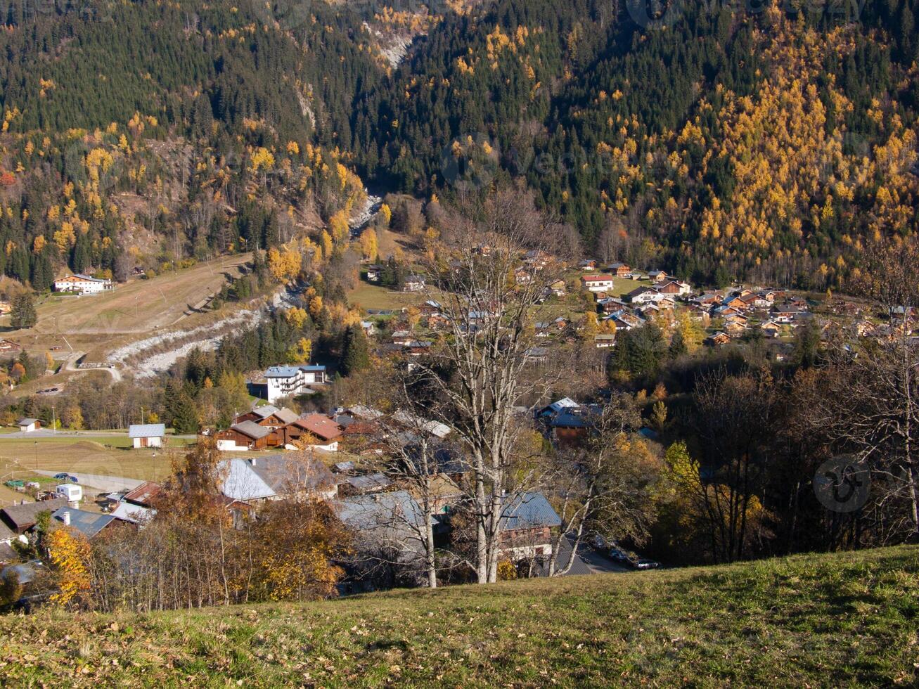 un' erboso pendio foto