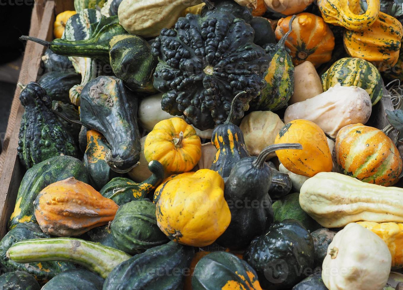 cibo di zucca e verdure foto