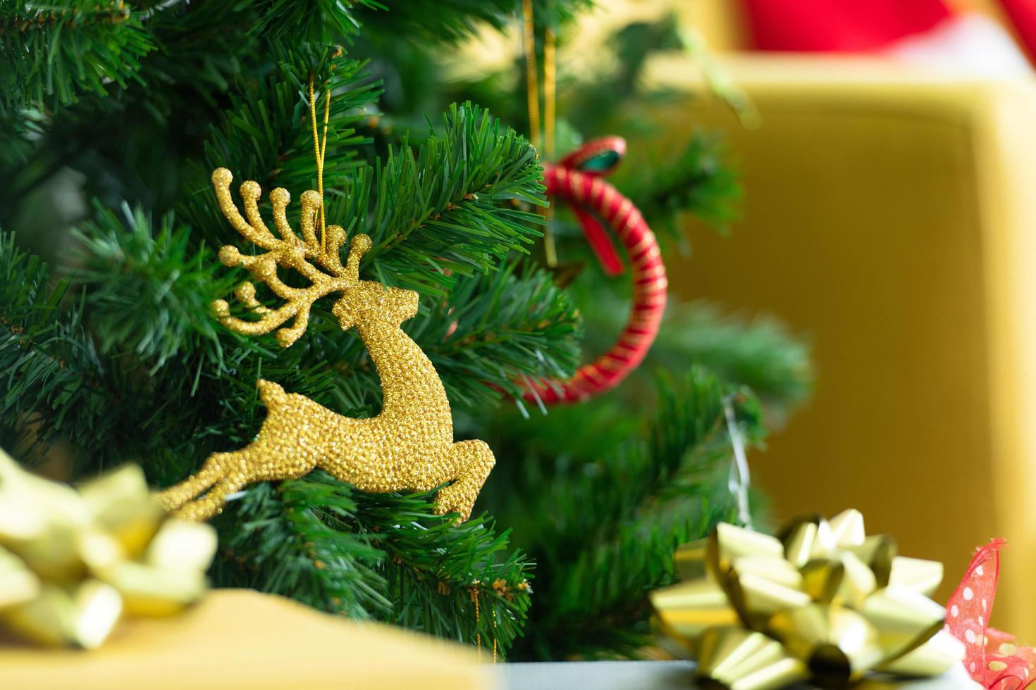 albero di natale addobbato in soggiorno foto