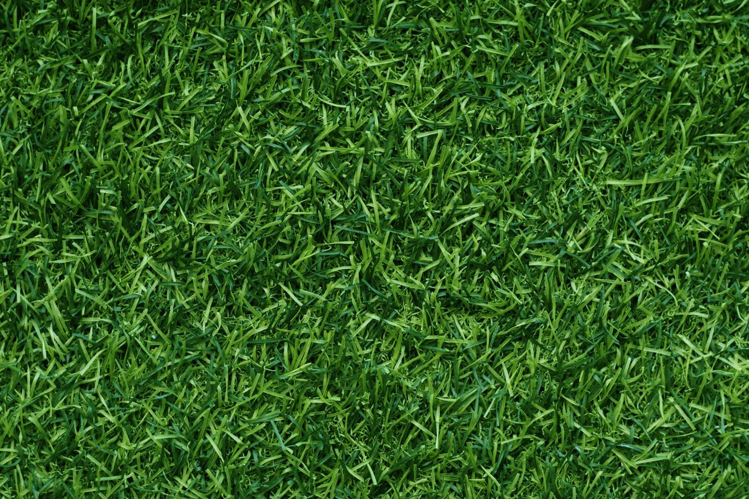 erba verde texture di sfondo erba giardino concetto utilizzato per fare sfondo verde campo da calcio, golf in erba, prato verde pattern texture di sfondo. foto