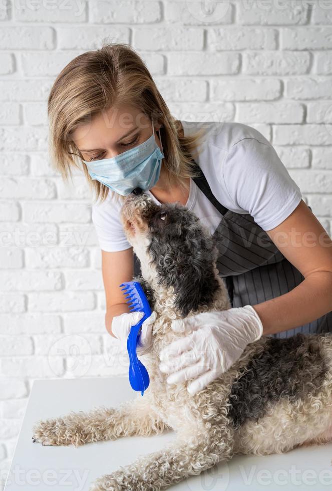 donna bionda con maschera e guanti che toeletta un cane a casa foto