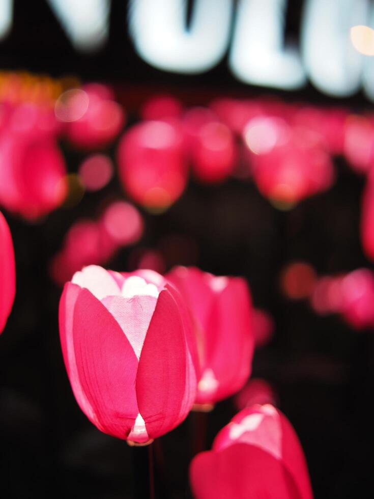 mano fatto tulipano e elettrico leggero lampadina creat per volato leggero fiori celebrare città foto