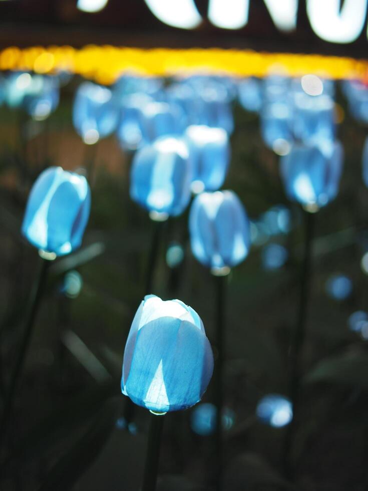 mano fatto tulipano e elettrico leggero lampadina creat per volato leggero fiori celebrare città foto