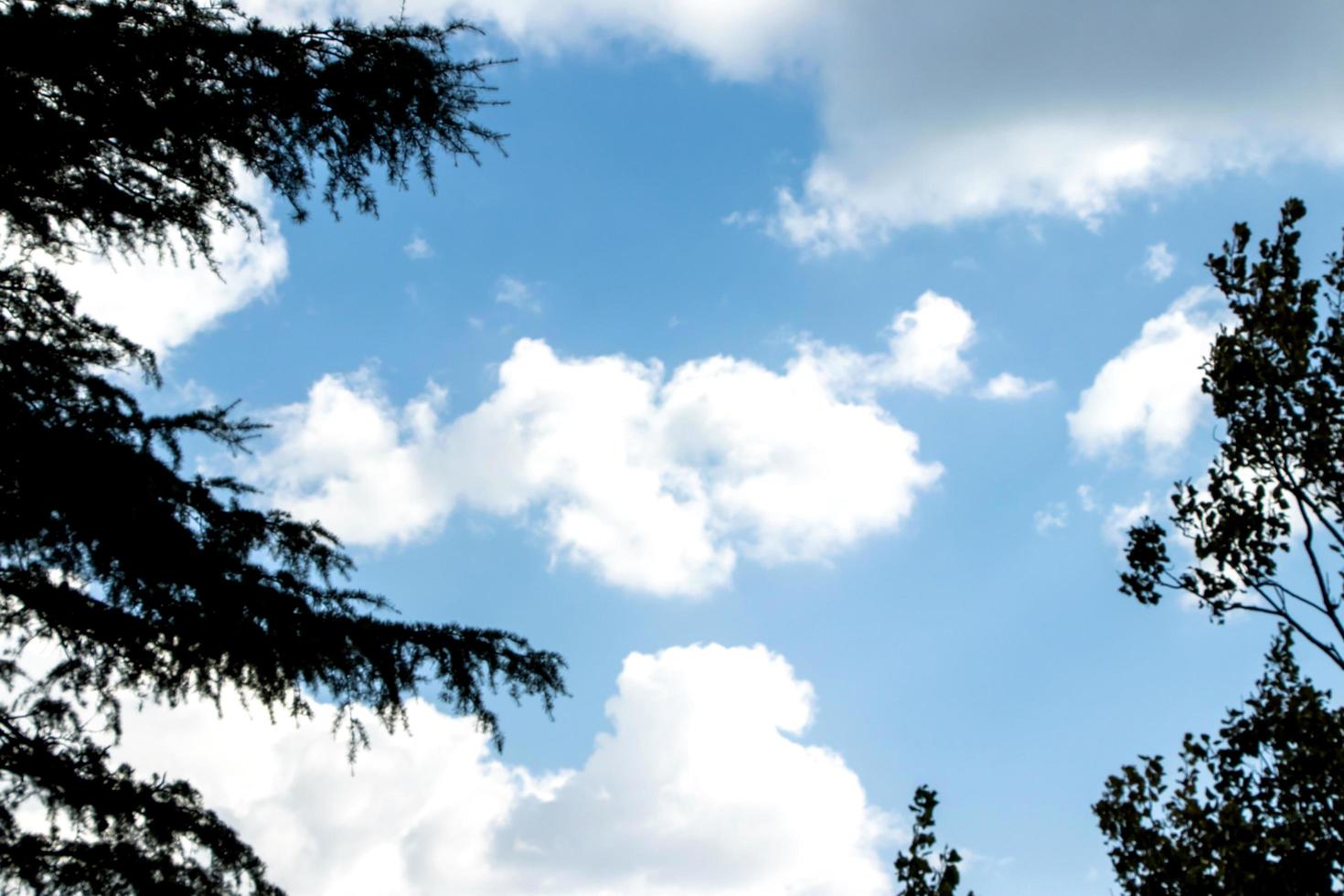 scatto panoramico di un bellissimo paesaggio di nuvole contro il cielo blu foto