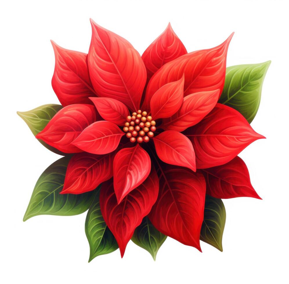 ai generato poinsettia fiore id su bianca sfondo foto