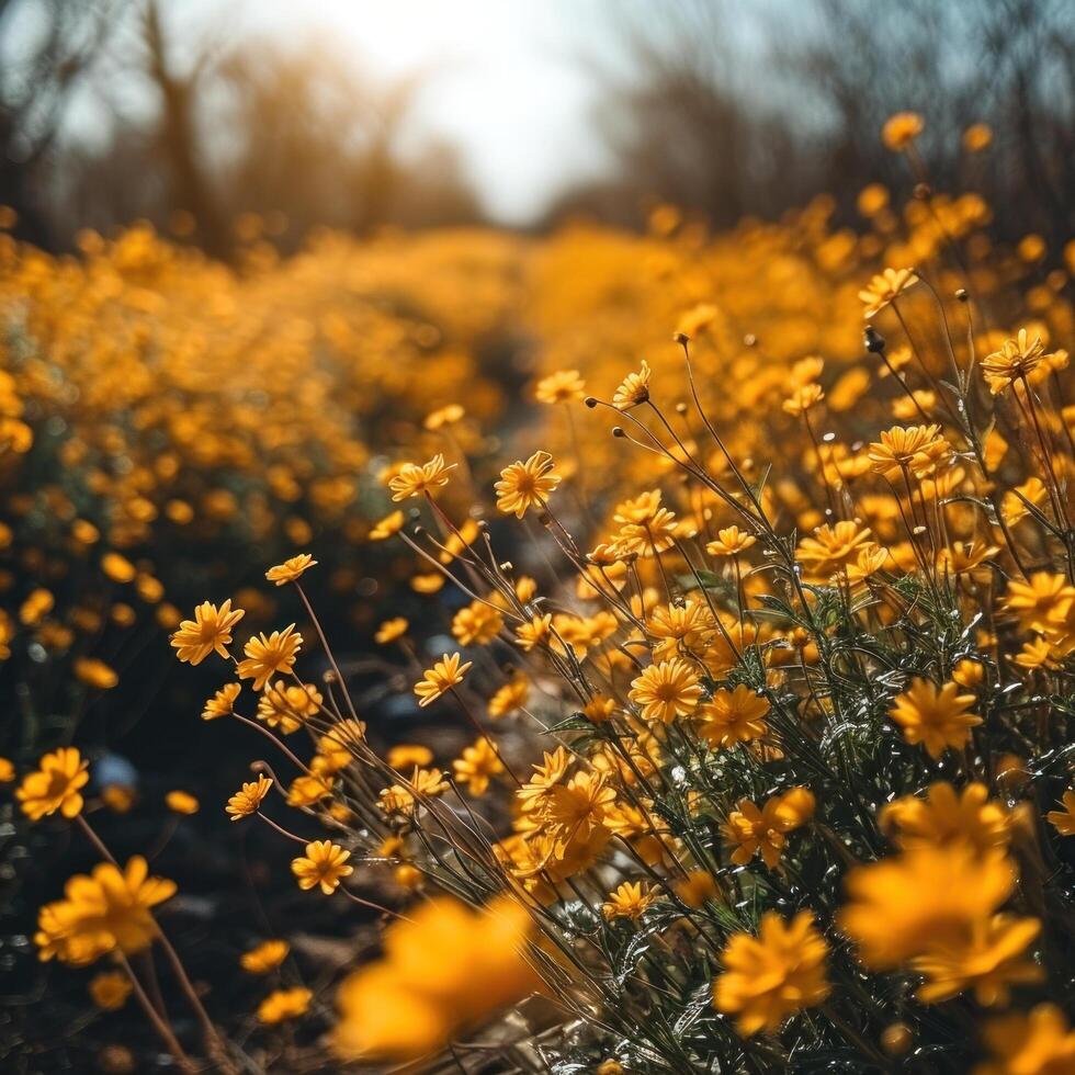 ai generato primavera vendita inviare modello foto