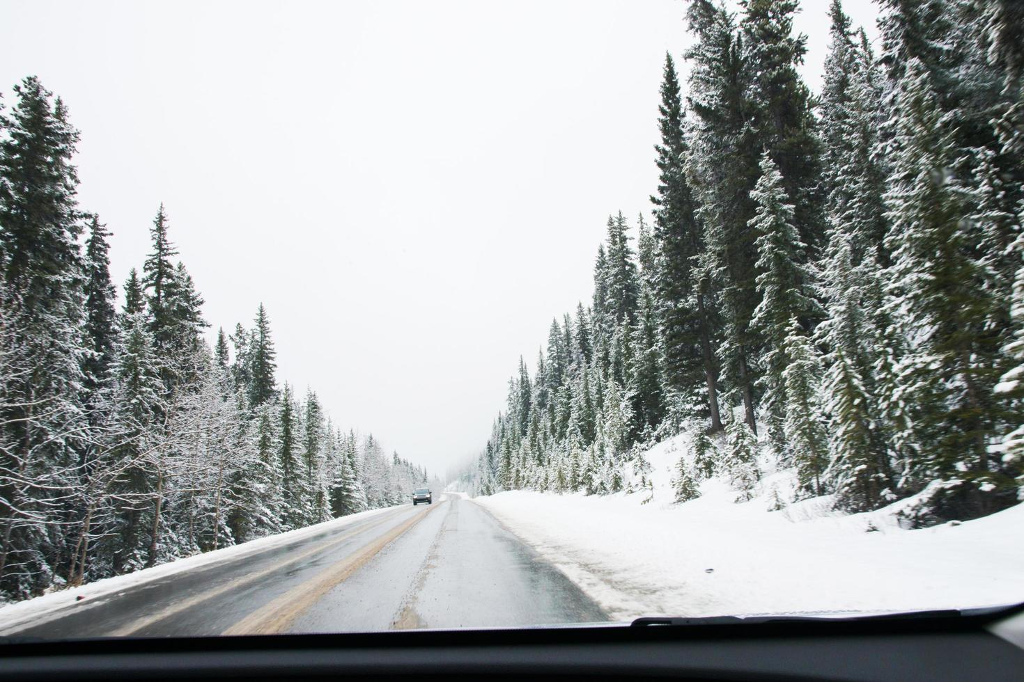 guidando su una strada canadese di montagna in inverno. bellissimi pini innevati intorno e solo un'auto in avvicinamento. parco nazionale di banff foto