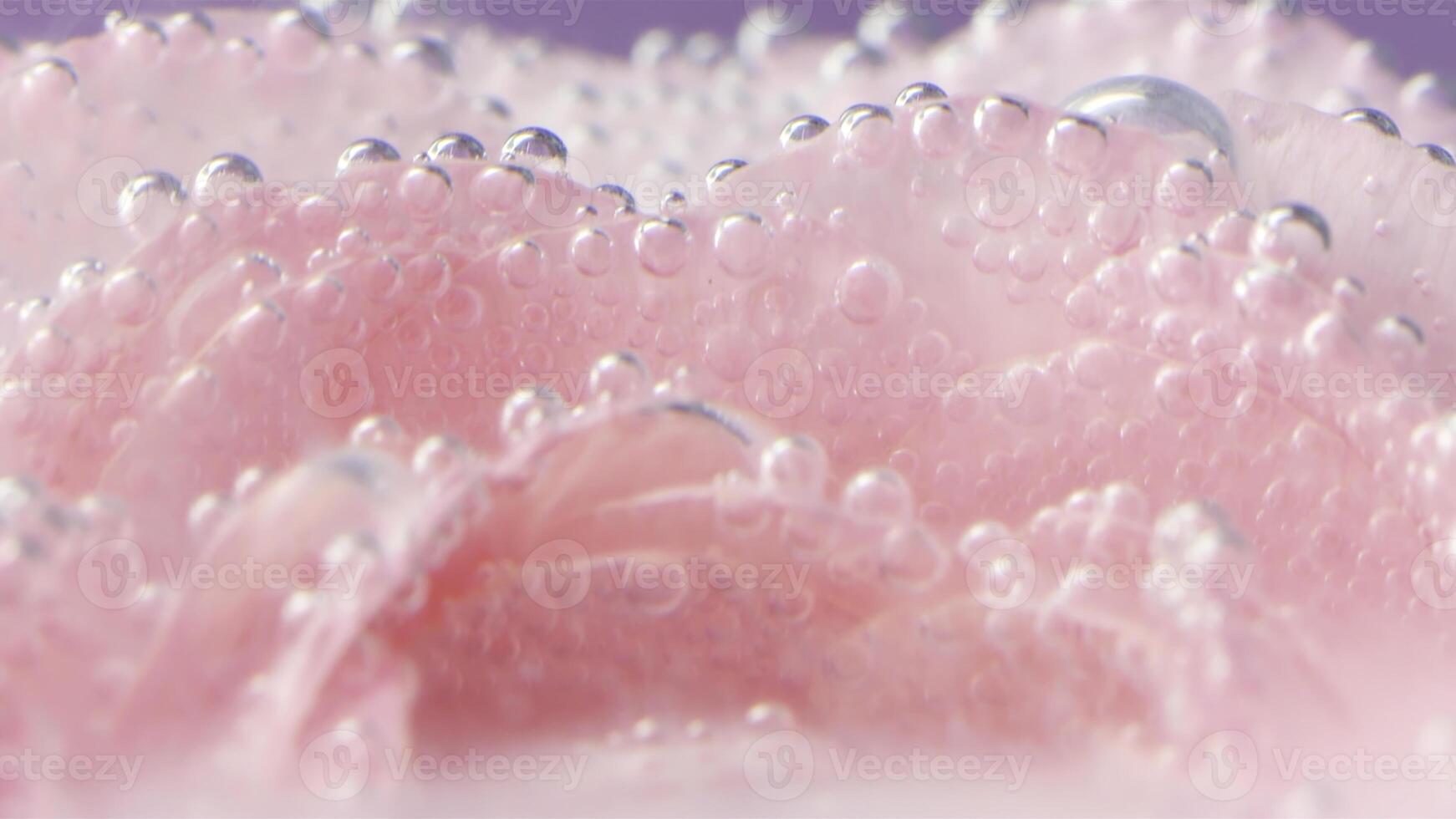 avvicinamento di delicato rosa petali con bolle. azione filmato. rosa rosa petali sotto acqua con bolle. molte di bolle su rosa nel acqua foto