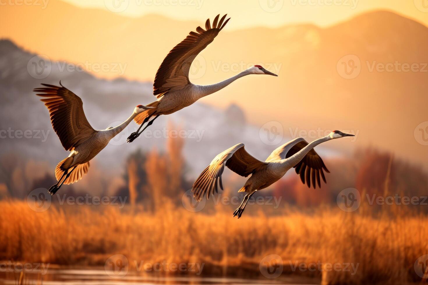 ai generato un' gregge di sandhill gru durante loro autunno migrazione. ai generativo foto