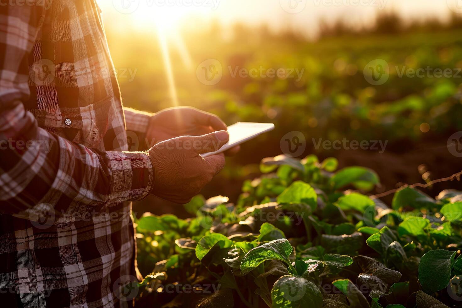 ai generato un' contadino in piedi nel campo con tavolo. generativo ai. foto