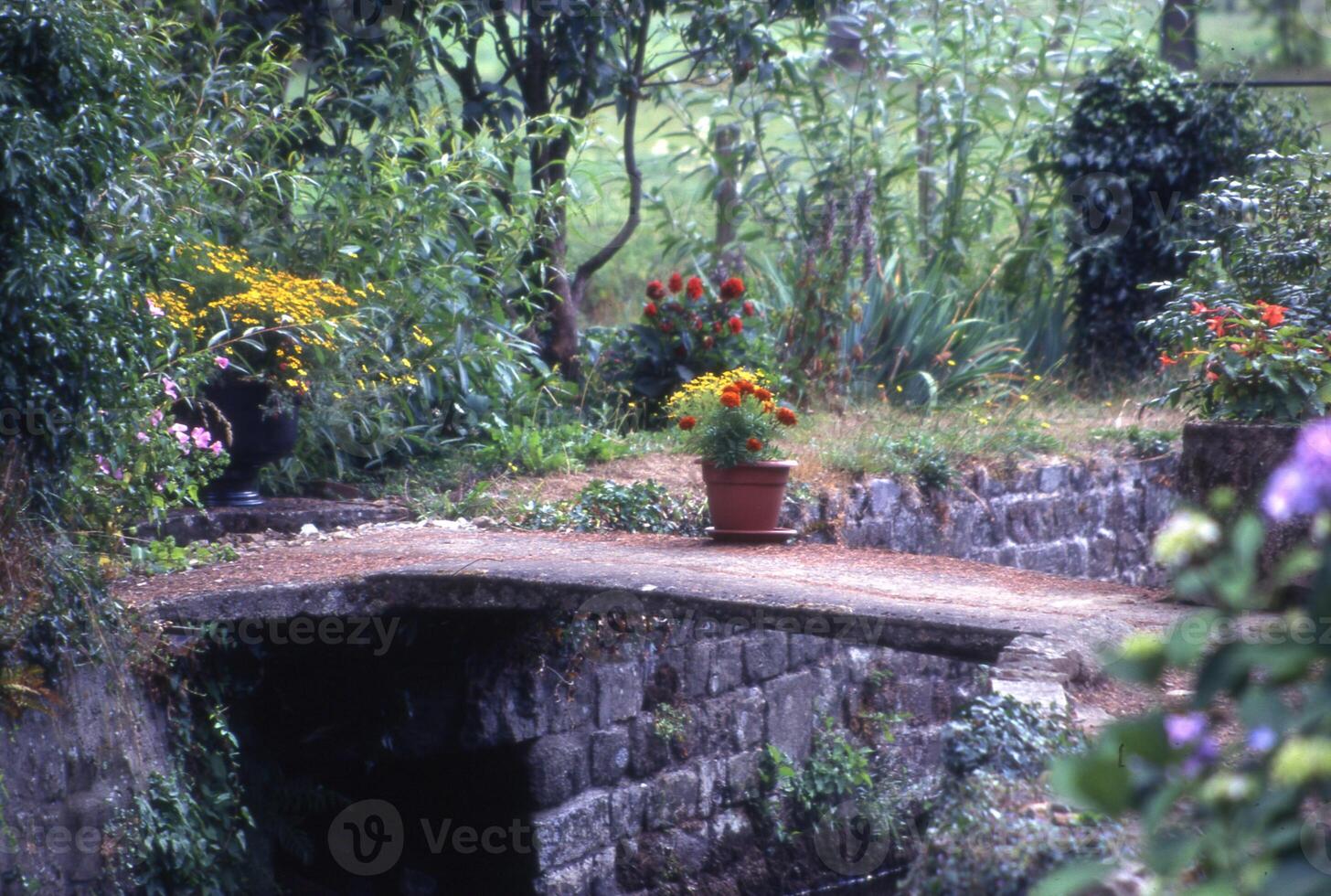 un' pietra ponte al di sopra di un' ruscello foto