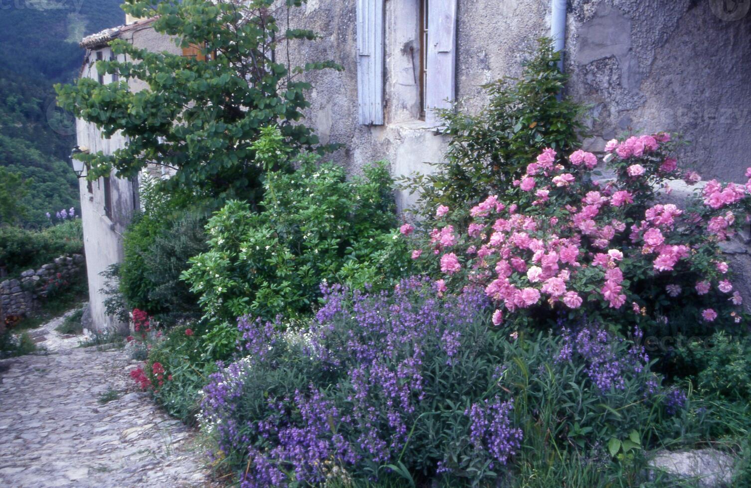 un' pietra sentiero con fiori e arbusti nel il mezzo di un' villaggio foto