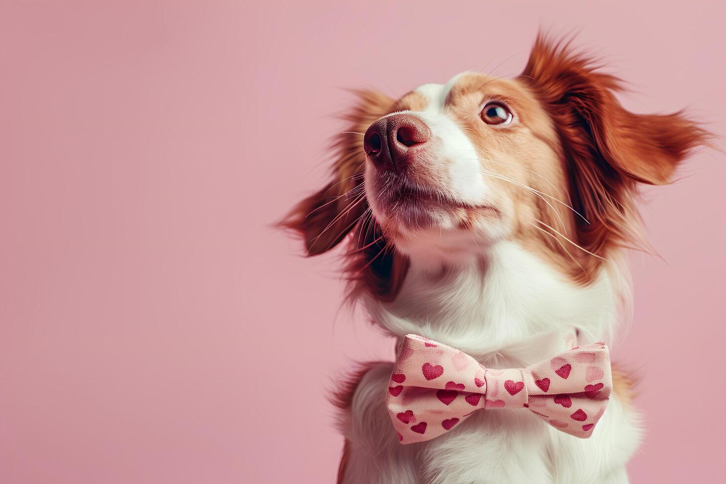 ai generato peloso san valentino cani festeggiare amore con cuori foto