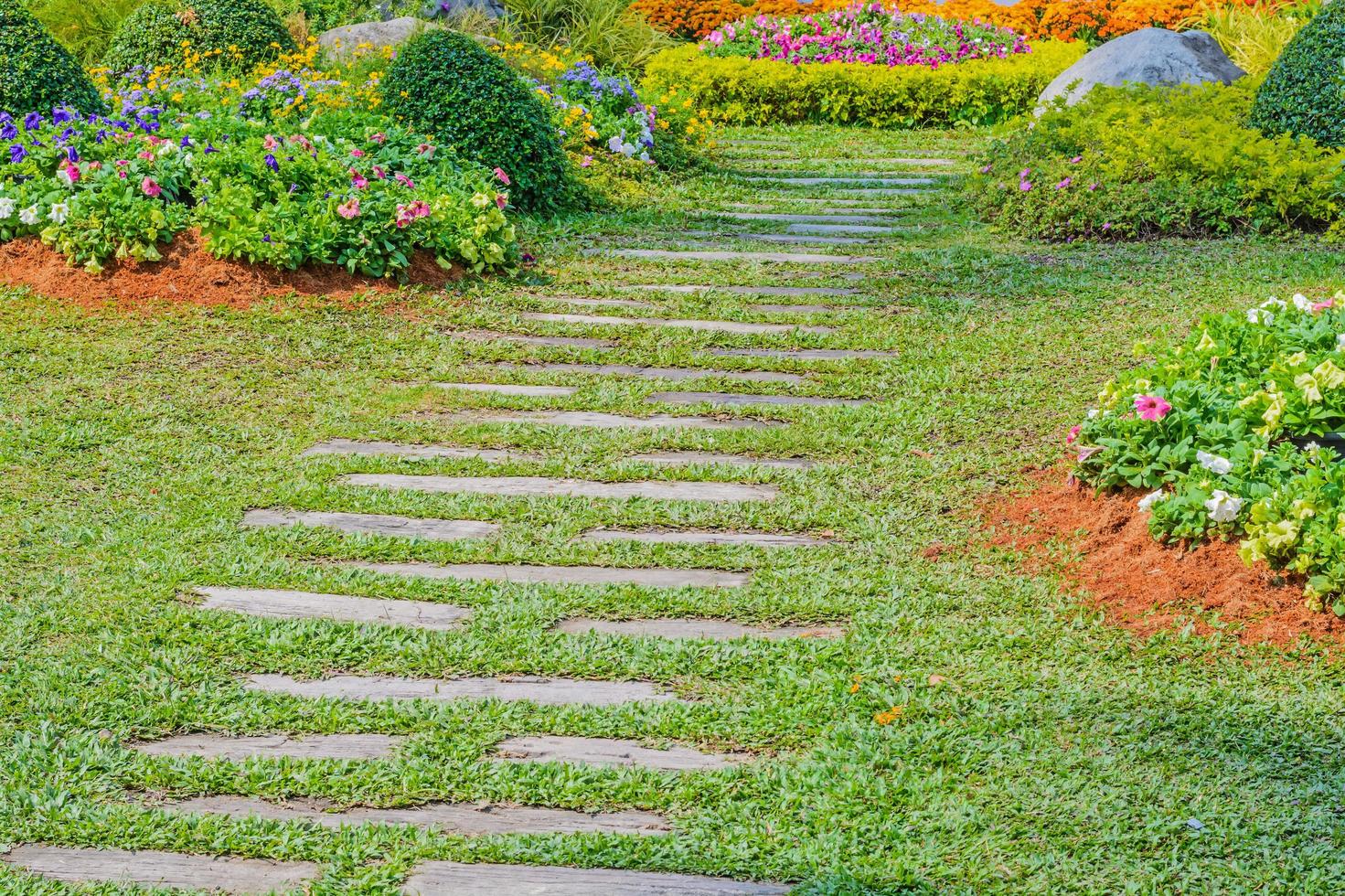 passerella in giardino foto