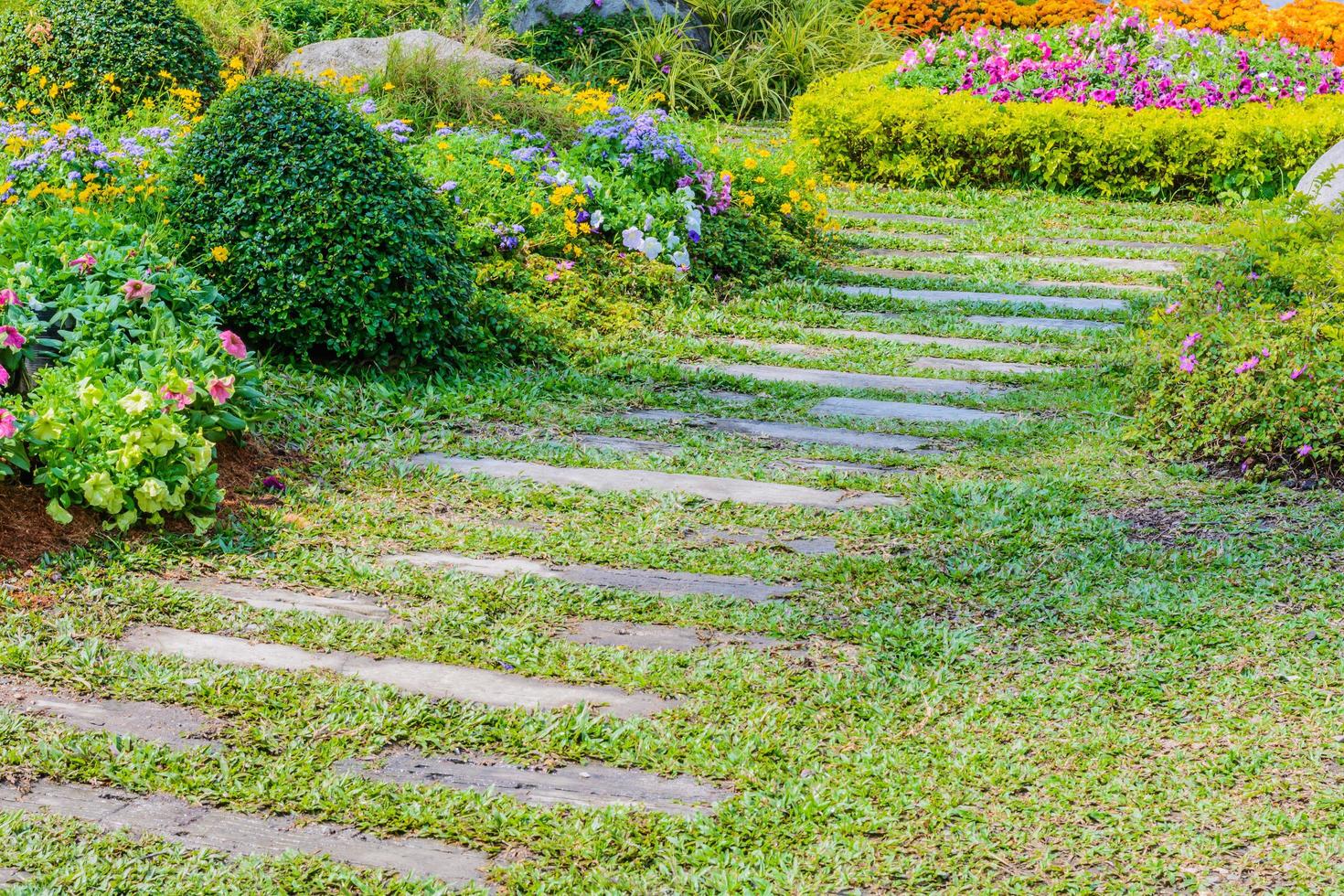 passerella in giardino foto