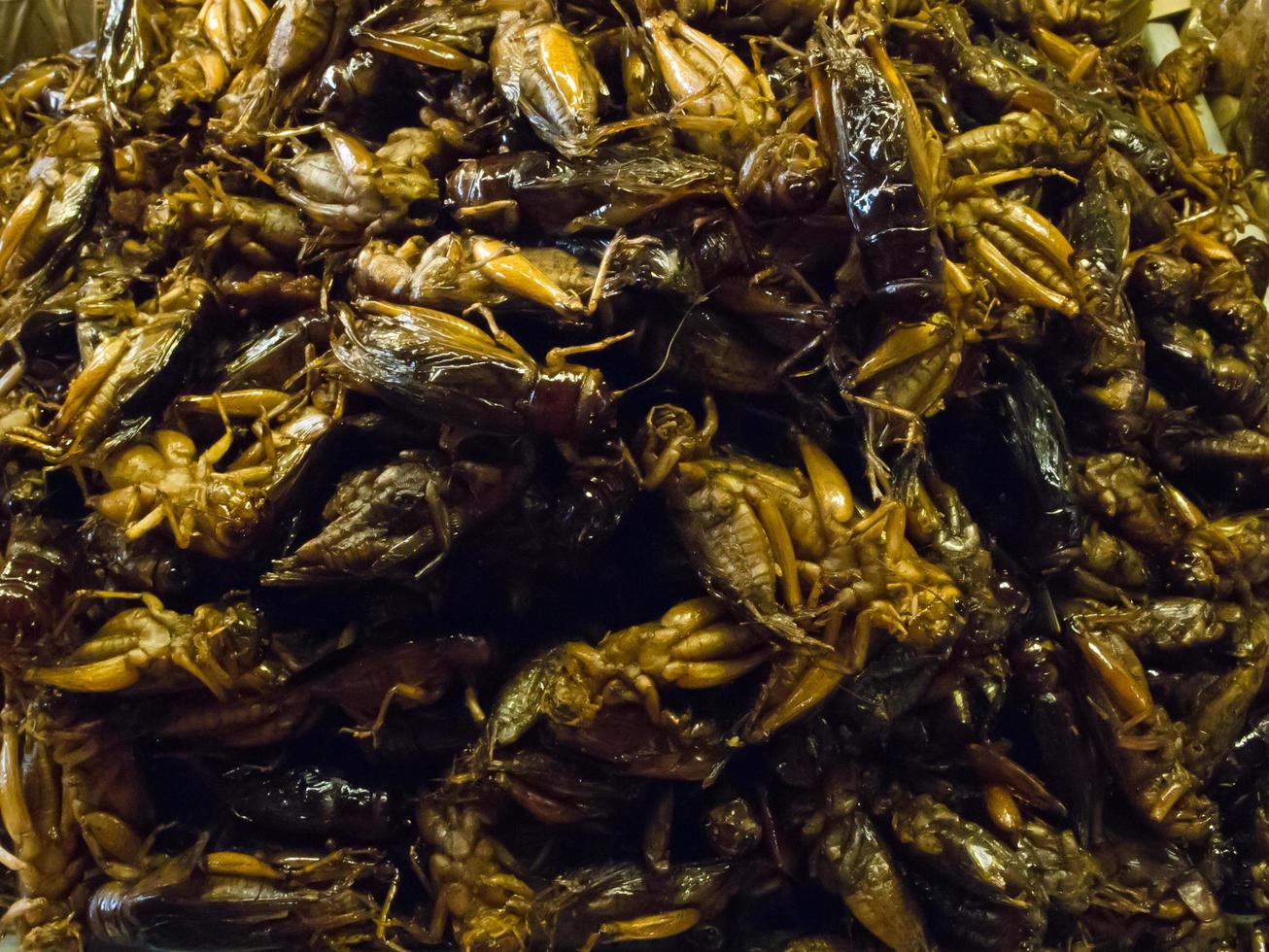 gli insetti fritti croccanti sono prelibatezze regionali in molti paesi asiatici come la Thailandia. foto