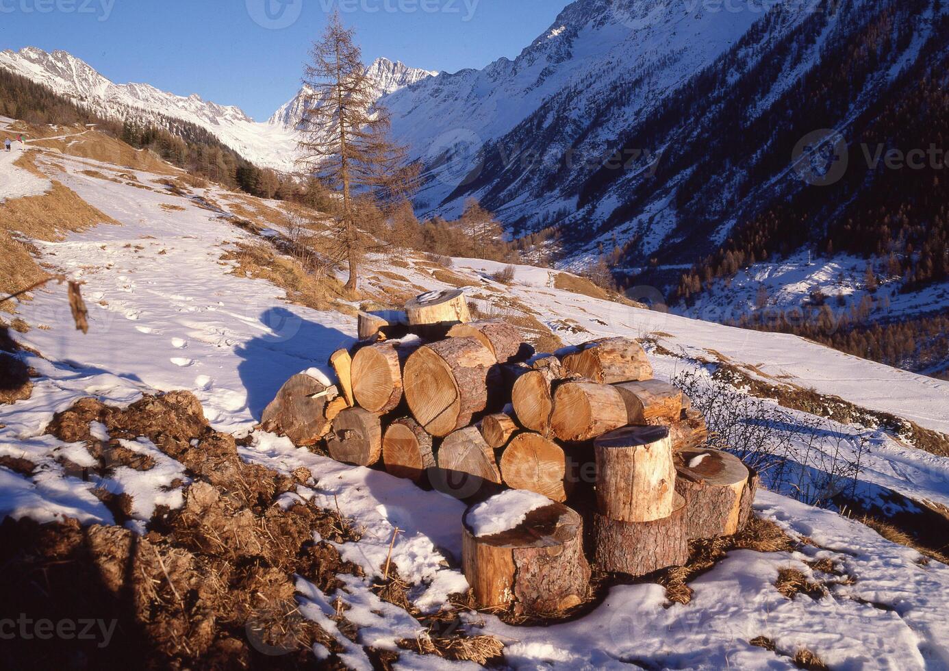 un' mucchio di logs su il lato di un' montagna foto