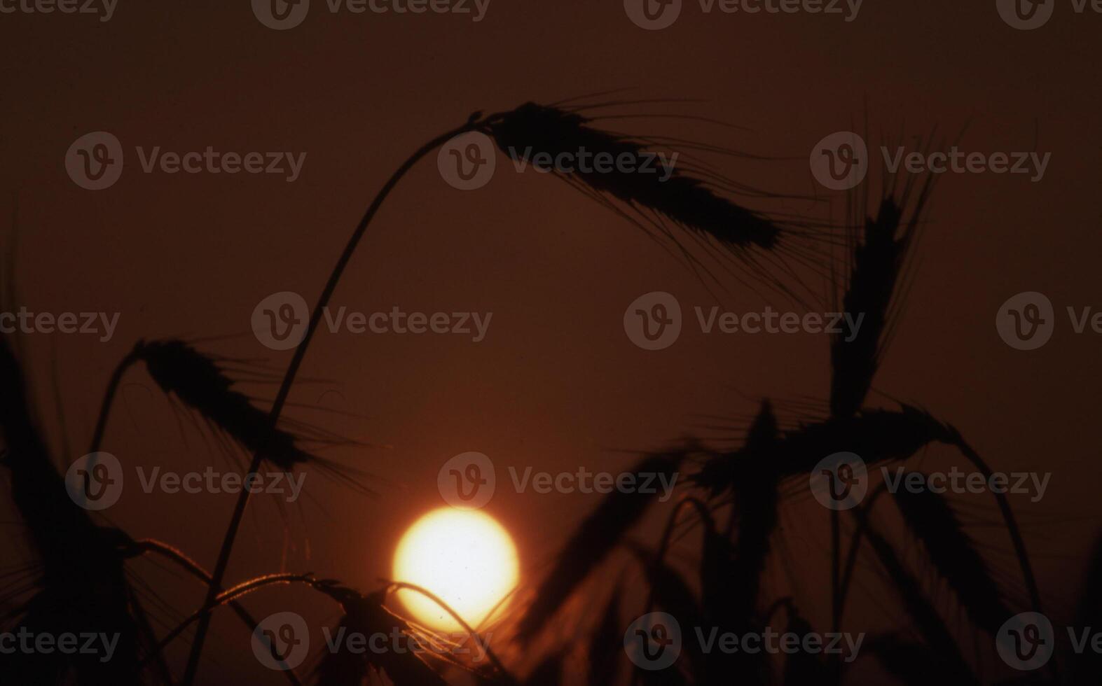 un' tramonto nel il sfondo foto