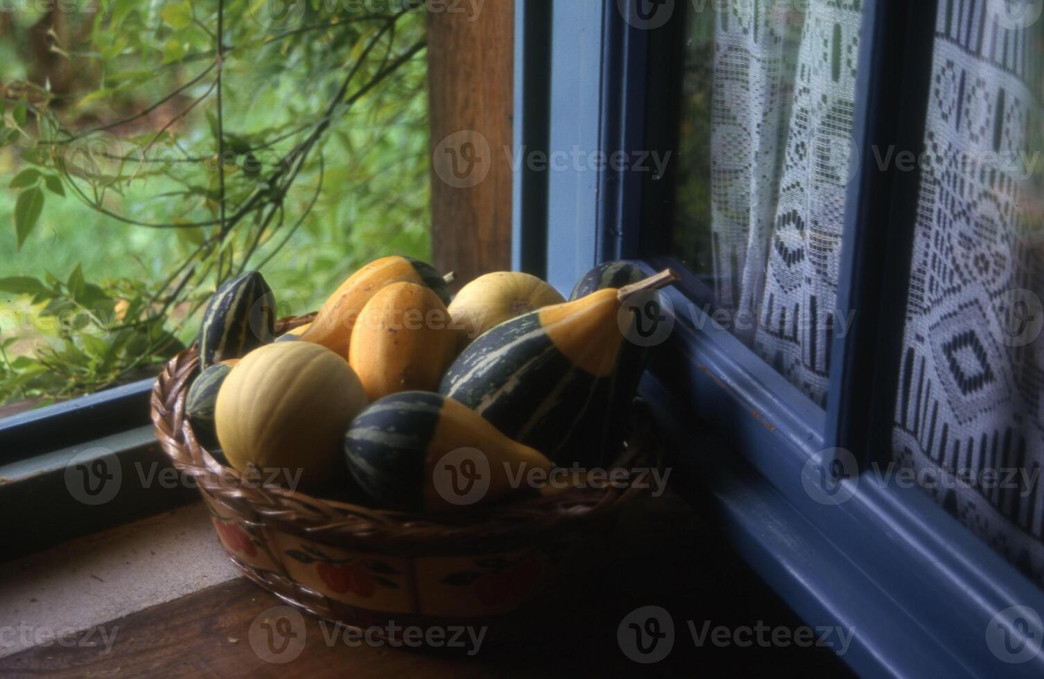 un' cestino di schiacciare foto