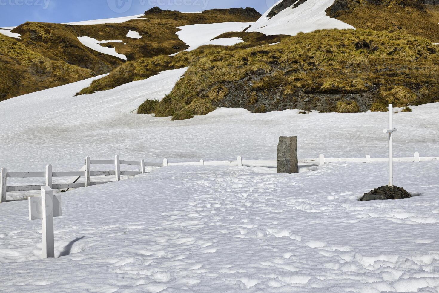 Grytviken, Sud Georgia, 2019 - Ernesto shackleton funerario stele sotto neve, grytviken cimitero, re edward baia, Sud Georgia, Sud Georgia e il Sandwich isole, Antartide foto