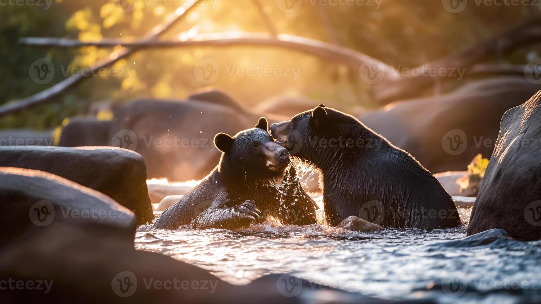 ai generato cloupe di nero orso giocando nel il acqua. natura scena a partire dal natura. foto