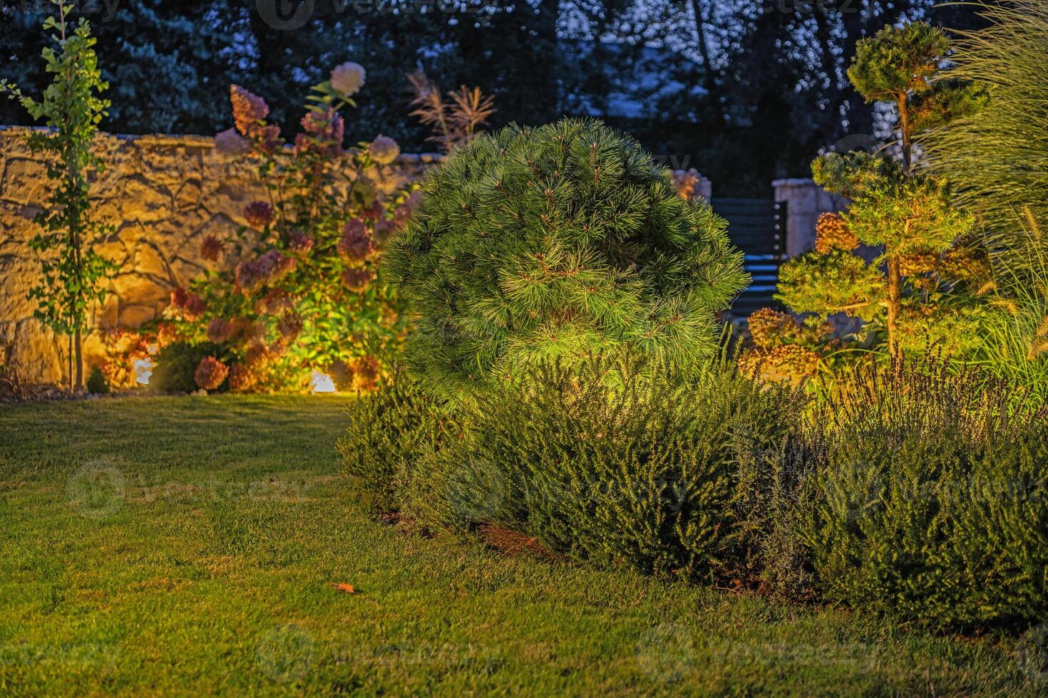 Giardino dietro la casa giardino illuminato di guidato illuminazione sistema foto