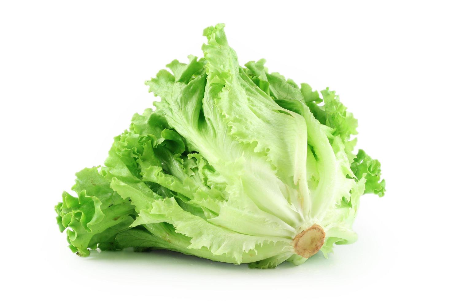 insalata verde su bianco foto