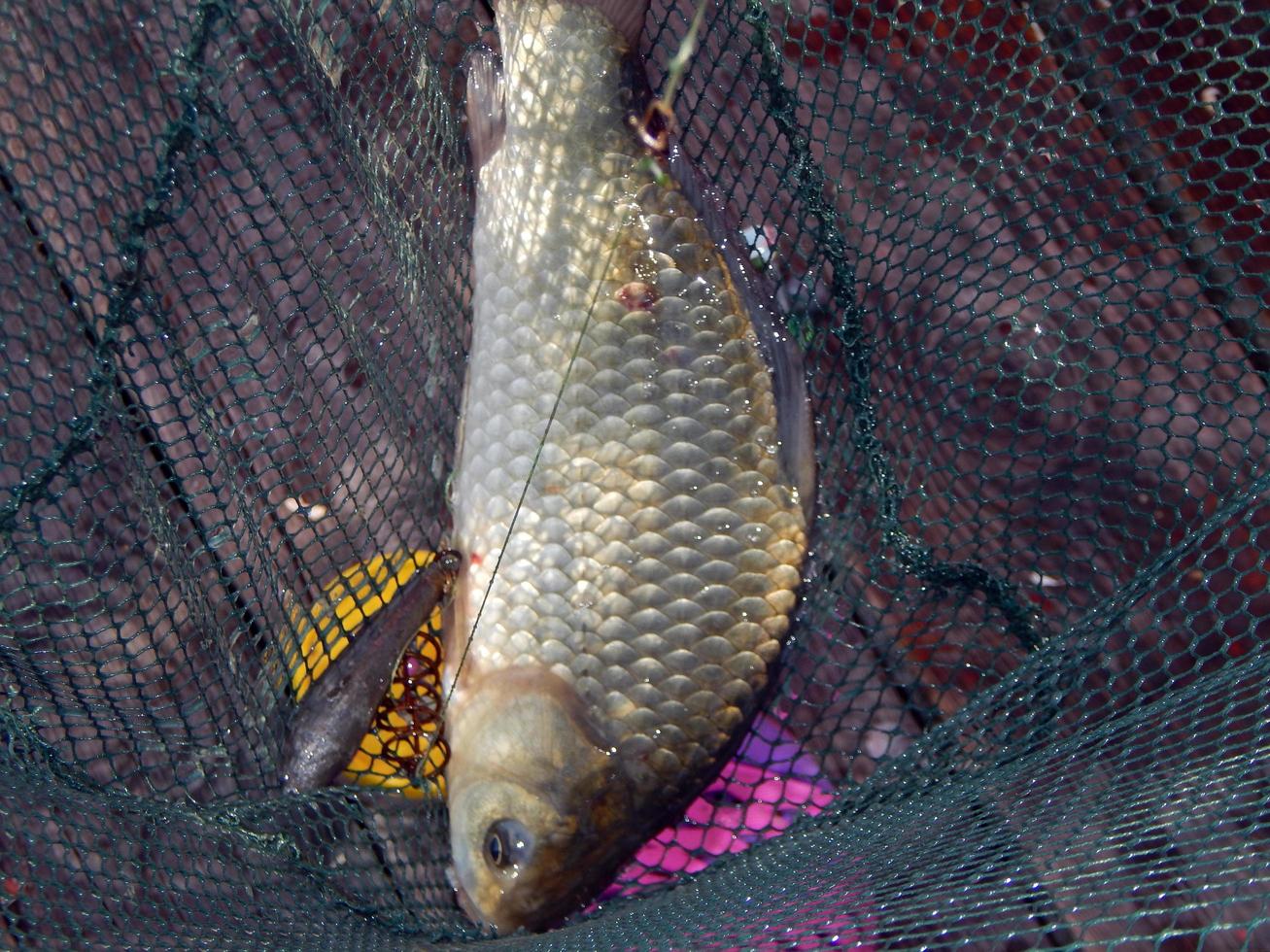 pesca di lago e di fiume foto