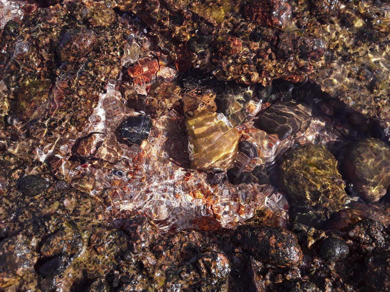 tessitura di pietra nel mar rosso presso la località egiziana di sharm el sheikh foto