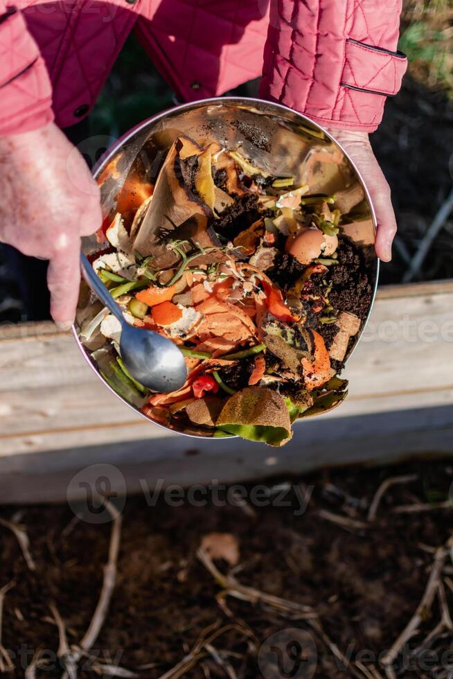 persona chi mettere nel un' composter alcuni cucina rifiuto piace la verdura, frutta, guscio d'uovo, caffè motivo nel ordine per ordinare e rendere bio fertilizzante foto