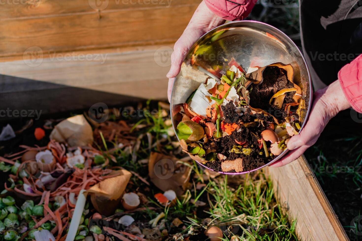 persona chi mettere nel un' composter alcuni cucina rifiuto piace la verdura, frutta, guscio d'uovo, caffè motivo nel ordine per ordinare e rendere bio fertilizzante foto