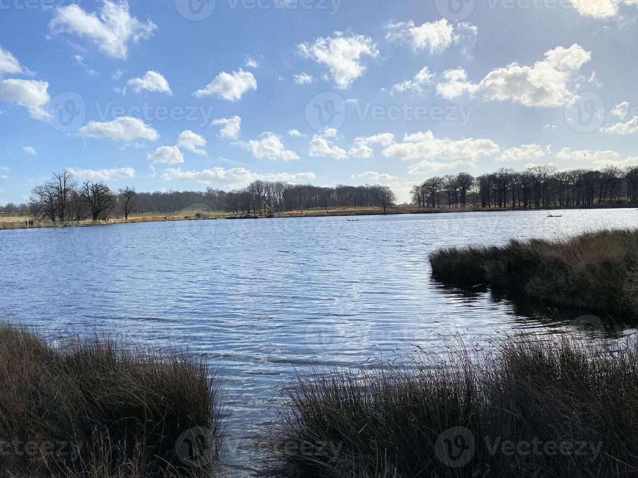 una vista di un parco a londra foto