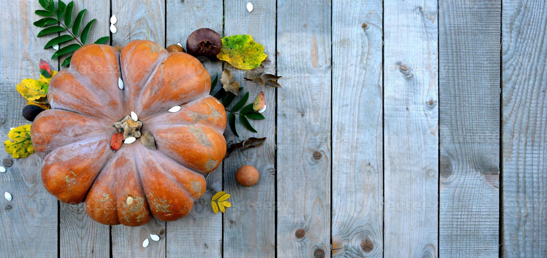 zucche con foglie d'autunno su uno sfondo di legno. sfondo naturale con zucche per halloween. foto