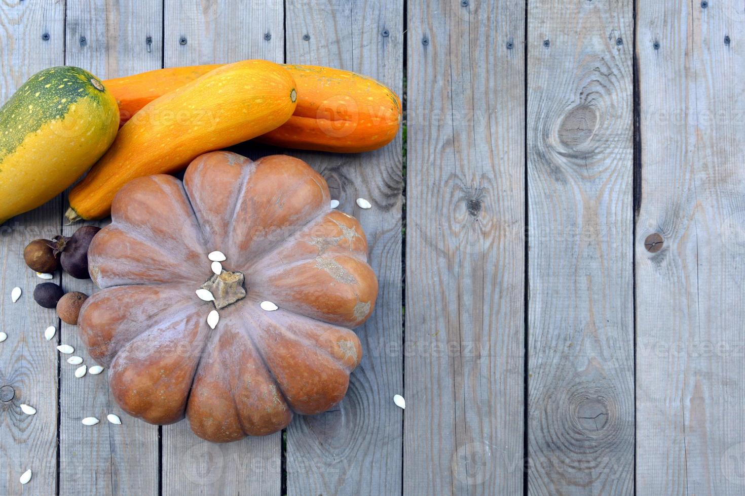 sfondo naturale con zucche per halloween. zucche con zucchine su uno sfondo di legno. foto